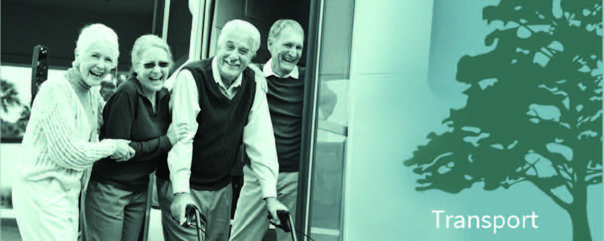 Senior Transportation.jpg